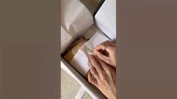 Unboxing the new Chanel Coco Handle #chanel #chanel24k #chanelcocohandle #chanelbag #chanelunboxing